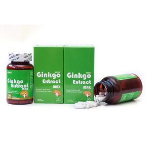 ginkgo extract max
