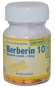 Berberin 10mg điều trị tiêu chảy, lỵ trực khuẩn, hội chứng lỵ, lỵ Amip, viêm ruột.
